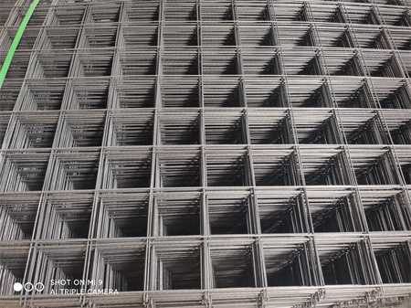 IMG_20201120_154446.jpg IMG_20201120_154446.jpg