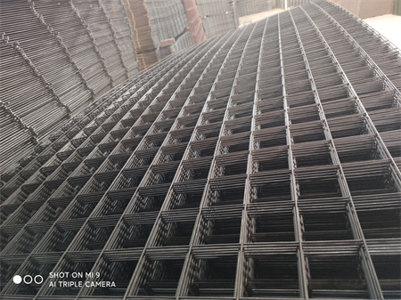 IMG_20201120_154305.jpg IMG_20201120_154305.jpg